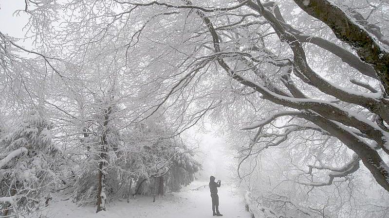 Der Herbst verabschiedet sich mit Schnee im Taunus. Foto: Boris Roessler/dpa