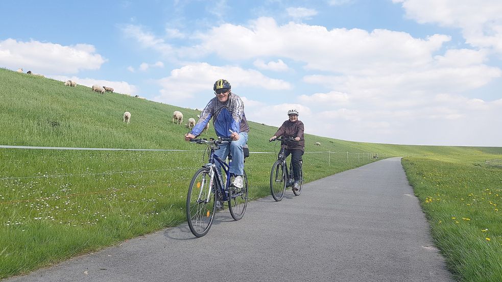 Mancherorts in Ostfriesland sind die Schafe auf den Deichen eingezäunt. Dieses Bild wurde in Ditzum (Rheiderland) gemacht. Archivfoto: Gettkowski