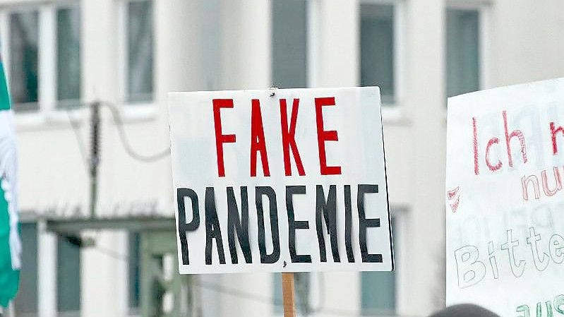 "Fake Pandemie": Nach Ansicht eines Teilnehmers der Demo in Hamburg gibt es überhaupt keine Corona-Pandemie. Foto: Georg Wendt/dpa