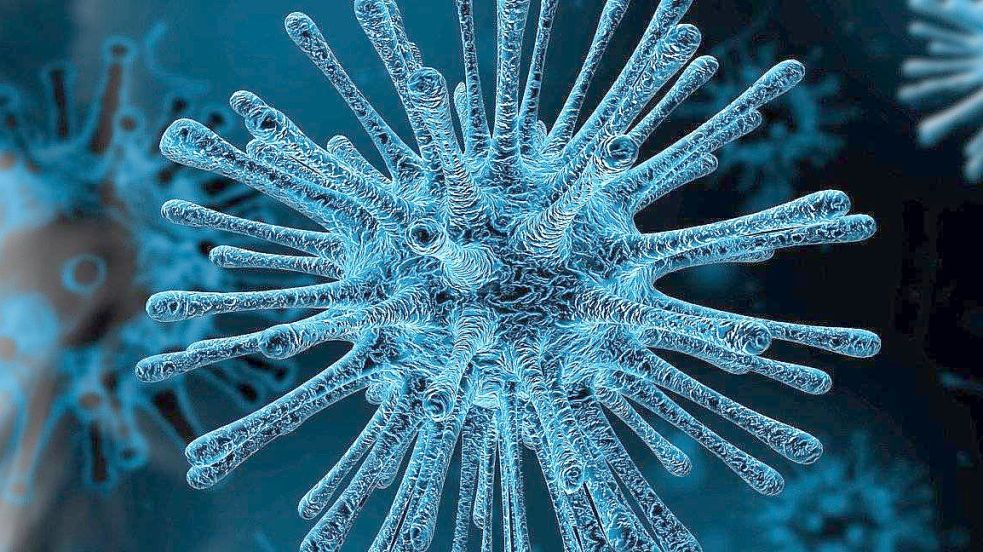Der Kreis Aurich hat am Sonnabend 55 neue Infektionen mitgeteilt. Foto: Pixabay
