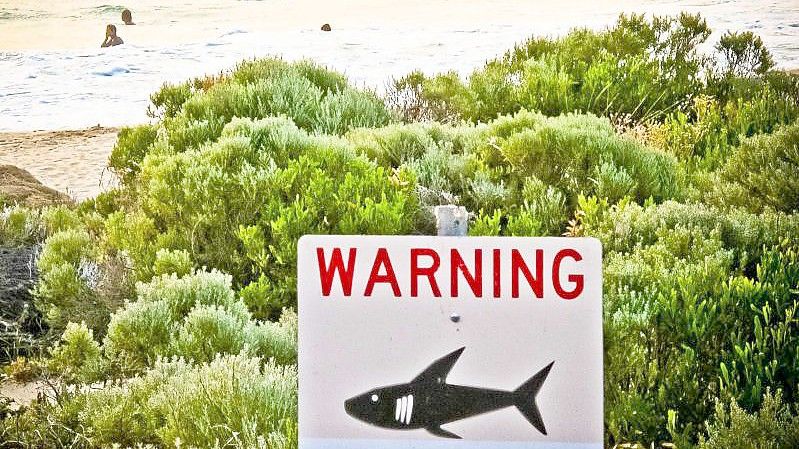 Ein Schild an einem australischen Strand warnt vor Haien (Symbolbild). Foto: Rebecca Le May/AAP/dpa