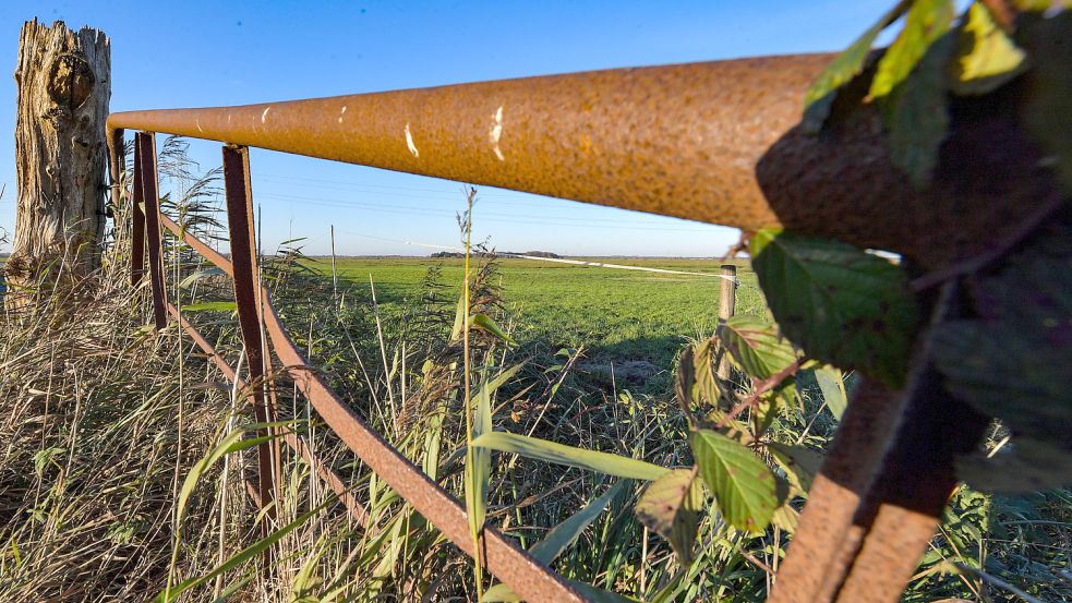 Weite Flächen am Fehntjer Tief sind mit Schutzstatus belegt. Jetzt sollen weitere hinzukommen. Foto: Ortgies/Archiv