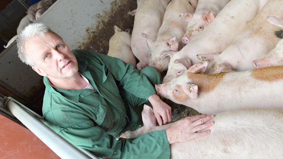 Adolf Hüls im Stall bei seinen jüngsten Tieren. Insgesamt 1700 Schweine leben in seinen zwei Ställen. Für Ostfriesland weit über dem Durchschnitt. Foto: Ortgies