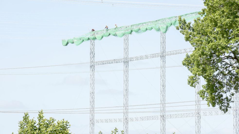 Solche Schutzgerüste werden aufgebaut, um Kabel über die Autobahn zu spannen oder um sie zu entfernen. Foto: Tennet