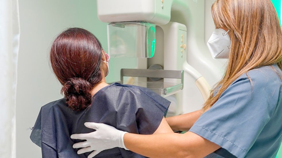 Bei einer Frau wird eine Mammographie, eine Röntgenuntersuchung der Brust, vorgenommen. Foto: Briones/DPA