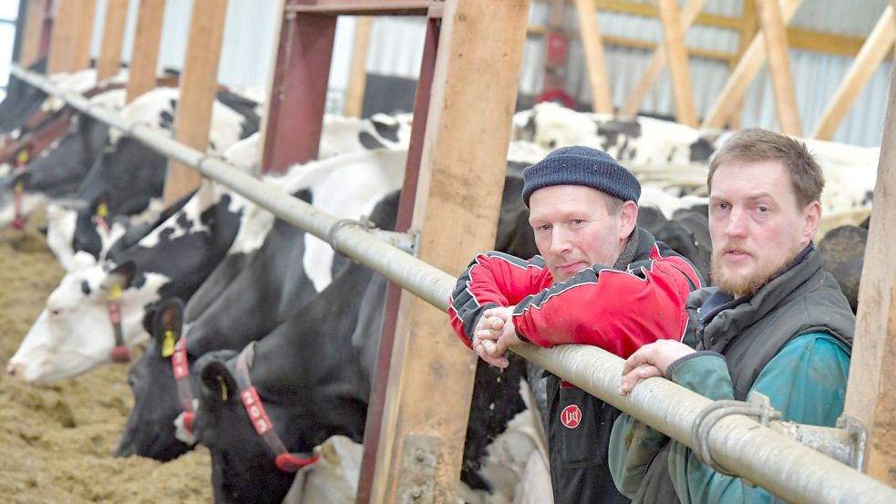 Luuk Nijman und Johan Stoker betreiben den Hof mit rund 250 Milchkühen in Bingumgaste zu zweit. Sie sind seit 2006 Pächter der Hilke-und-Fritz-Wolff-Stiftung in Leer. Foto: Ortgies