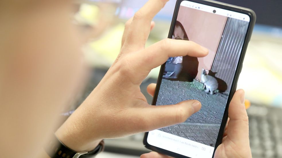 Eine Facebook-Nutzerin hatte diese Aufnahme auf der Plattform veröffentlicht. Foto: Hock