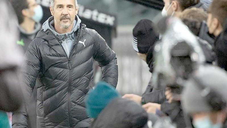Gladbachs Trainer Adi Hütter vor dem Spiel gegen Eintracht Frankfurt. Foto: Federico Gambarini/dpa