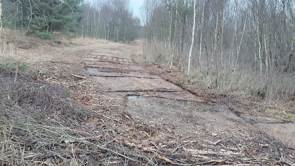 Diese Schneise ist im Vorgriff auf Bodenuntersuchungen an einem Strommast am Ottermeer geschlagen worden. Foto: privat