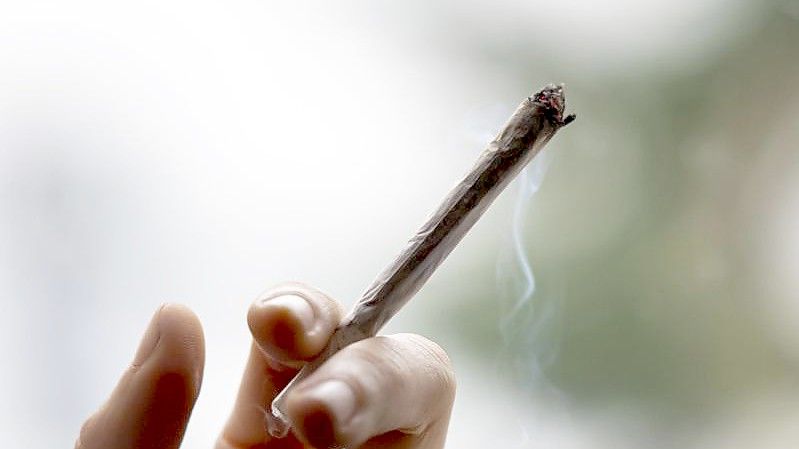 Cannabis ist die am häufigsten konsumierte illegale Droge in Deutschland. Foto: Fabian Sommer/dpa