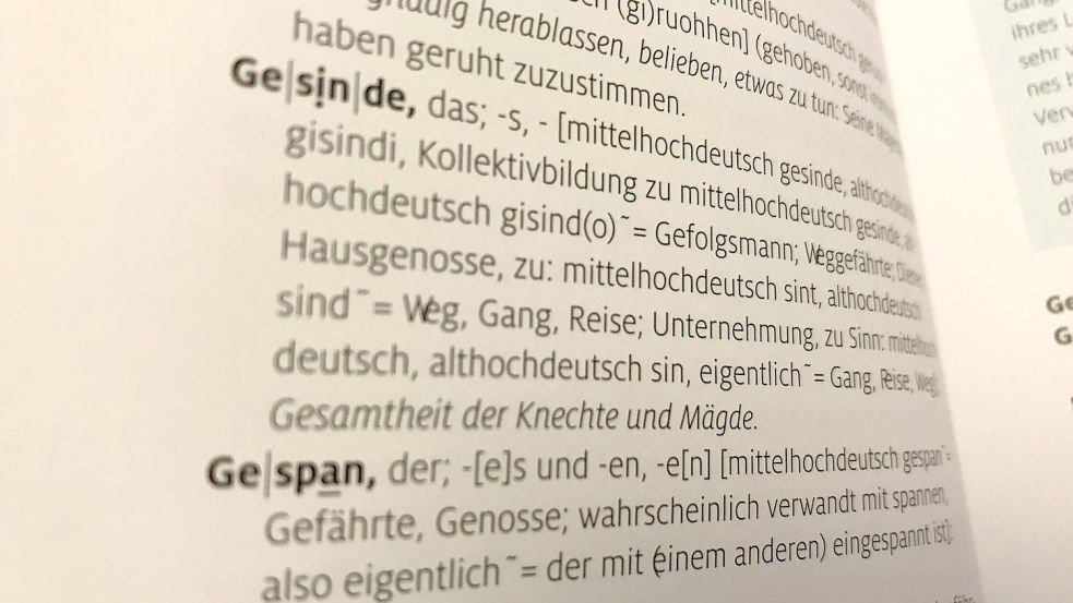 Wer kennt sie noch? Publikationen des Duden-Verlages verzeichnen „Versunkene Wortschätze“, veraltete Wörter, die heute kaum noch jemand kennt, die aber aufschlussreiche Geschichten zu erzählen haben. Foto: Stefan Lüddemann Foto: Stefan Lüddemann