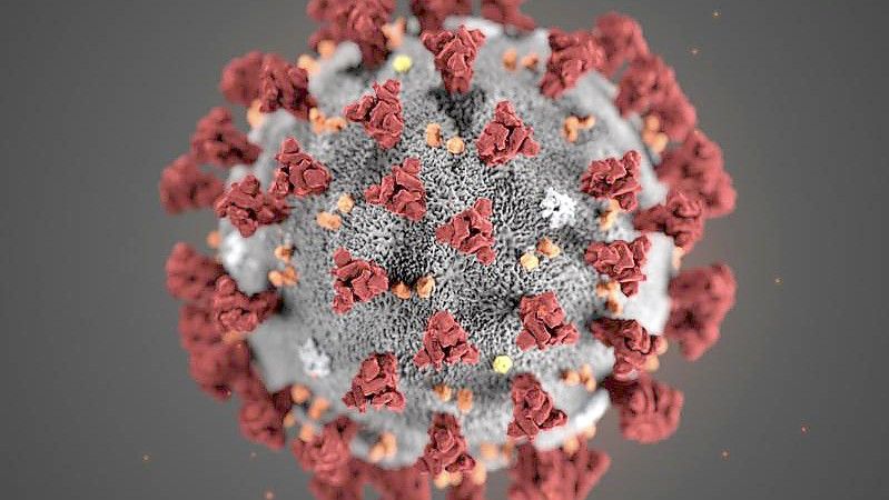 Eine Mikroskopaufnahme zeigt das Coronavirus. Im Kreis Aurich wurden neun neue Fälle registriert. Foto: dpa/Archivbild
