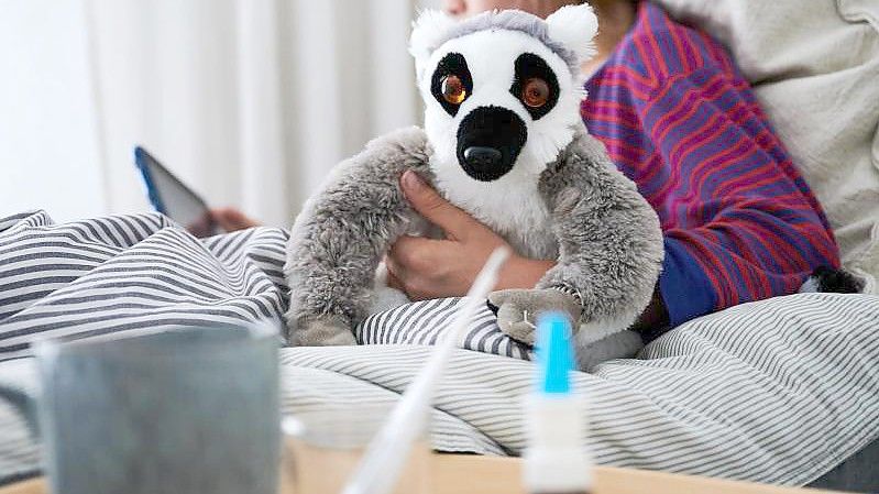 Kleine Kinder sind oft krank. Das liegt aber nicht daran, dass ihr Immunsystem nicht gut ist, im Gegenteil: Es ist in Topform und arbeitet auf Hochtouren. (Archivbild). Foto: Annette Riedl/dpa