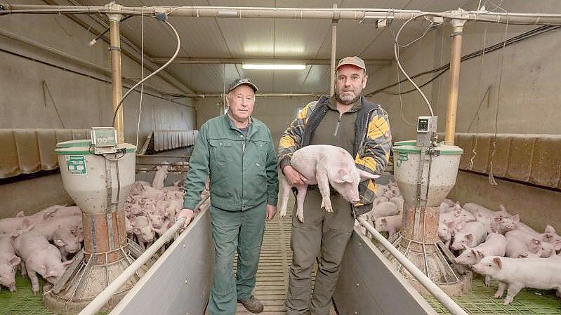 Karl (l) und Marco Weber stehen in einem ihrer Ställe in Lissendorf. Foto: Harald Tittel/dpa