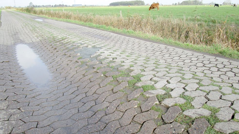 Teile des Klappwegs in Petkum waren deutlich abgesackt. Das war insbesondere für Radfahrer gefährlich geworden. Foto: Privat