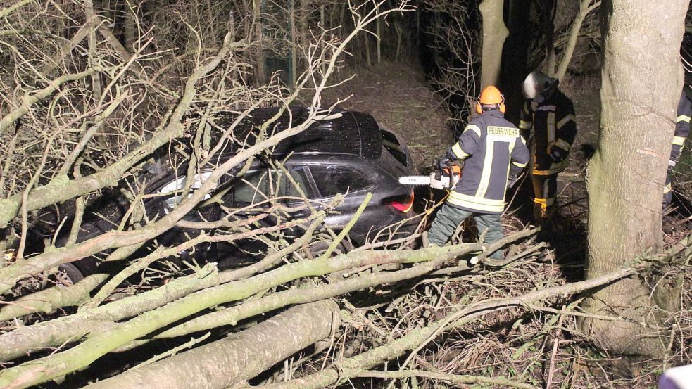 Ein Fahrer war mit seinem Auto unter einen Baumstapel geraten. Foto: Feuerwehr