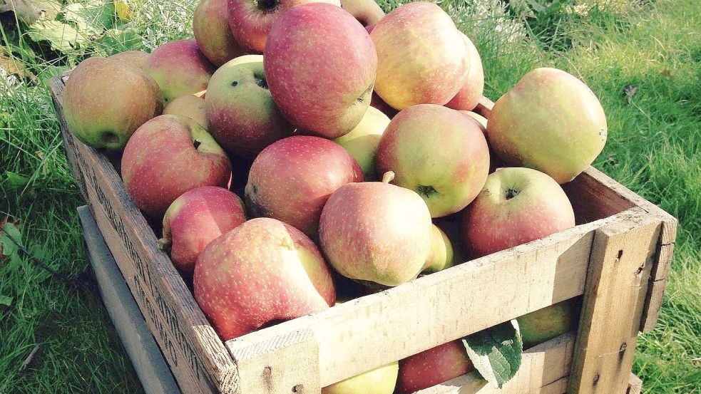 Äpfel müssen nicht makellos sein – Hauptsache, das Aroma überzeugt. Foto: pixabay.com