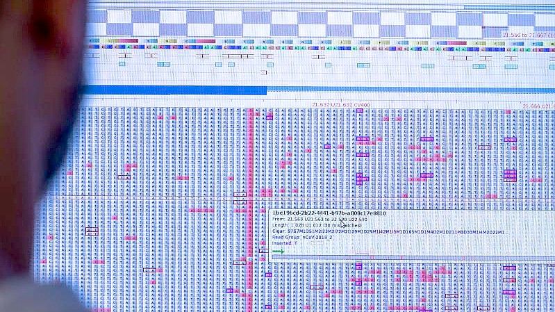 An einem Computermonitor werden in einem Sequenzierlabor nach neuen Varianten und Mutationen des Coronavirus gesucht. Foto: Jens Büttner/dpa