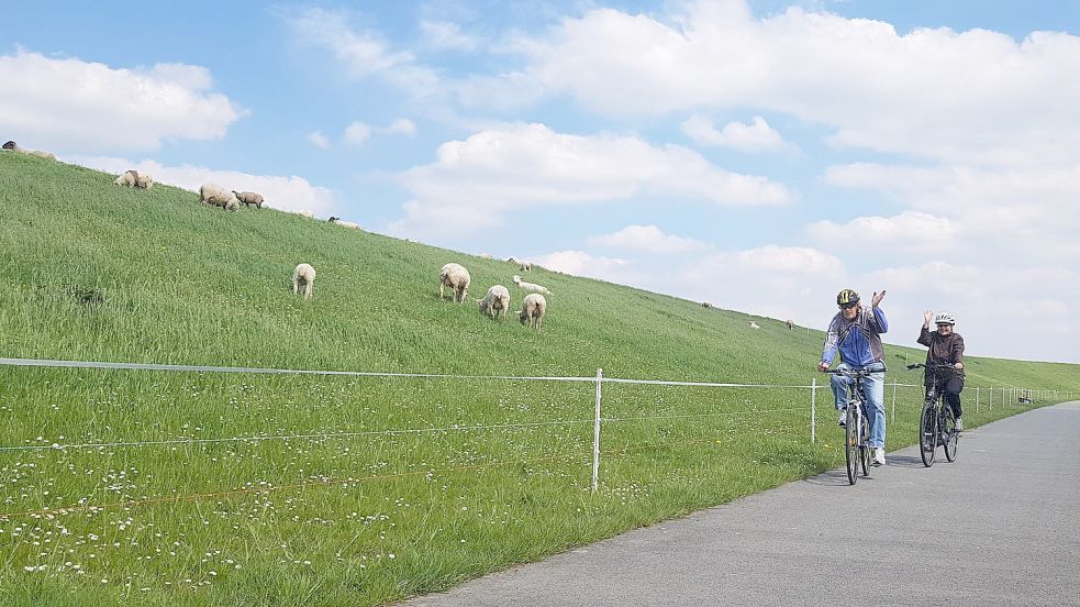 Radtouren entlang des Deiches sind beliebt. Jetzt sollen sie angenehmer werden. Foto: Gettkowski/Archiv