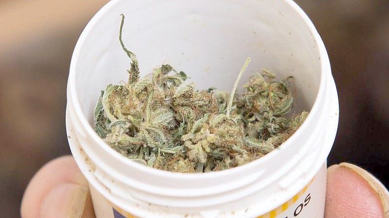 Cannabis wird in „irgendeiner Form der Besteuerung unterliegen, wie andere Konsumprodukte auch“. Foto: Swen Pförtner/dpa