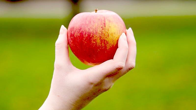 Äpfel sind nicht nur gesund, sondern spielen auch in der Kulturgeschichte eine große Rolle. Foto: Annette Riedl/dpa