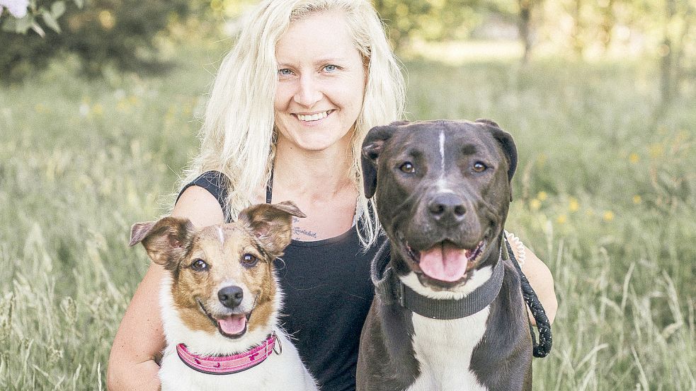 Hundesuchhilfe Silvester liefen so viele Hunde weg wie nie zuvor