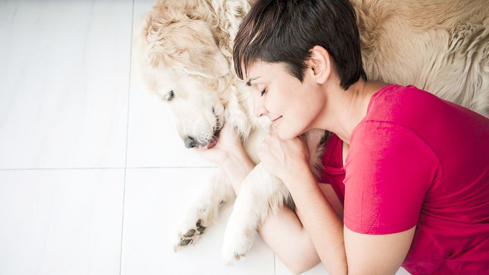 Hunde, Katzen oder Schlangen: Was es bedeutet, wenn uns diese fünf Tiere im Traum aufsuchen. Foto: imago images/Eva Blanco