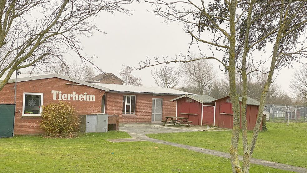 Das Borkumer Tierheim ist in die Jahre gekommen. Foto: Archiv