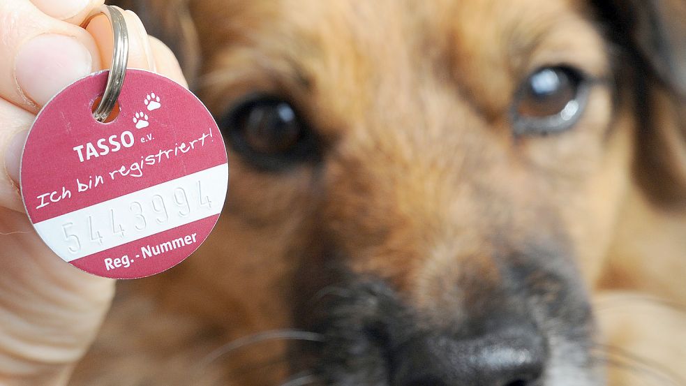 Bundesweite Chip-Pflicht für Hunde: Mehr Bürokratie befürchtet Ostfriesen-Zeitung