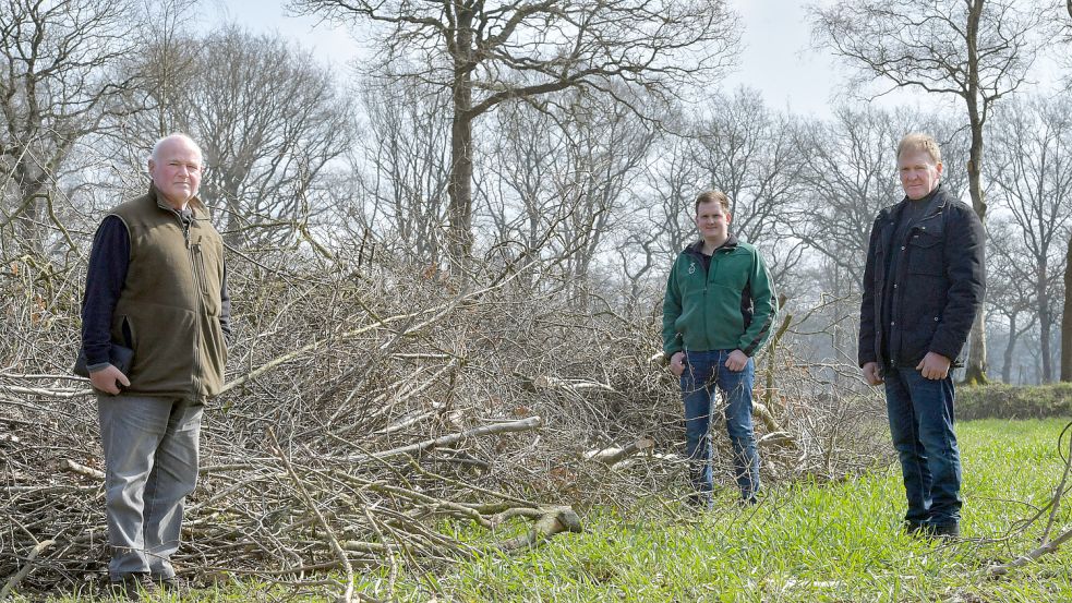 Dieses Foto entstand im Frühjahr: Kreistagsmitglied Klaus Flocken (von links) Michael und Johann Busboom, Landwirte aus Remels machten darauf aufmerksam, dass Landwirte, die sich um Wallhacken kümmern, nicht wissen, wohin mit dem Holz. Foto: Ortgies/Archiv