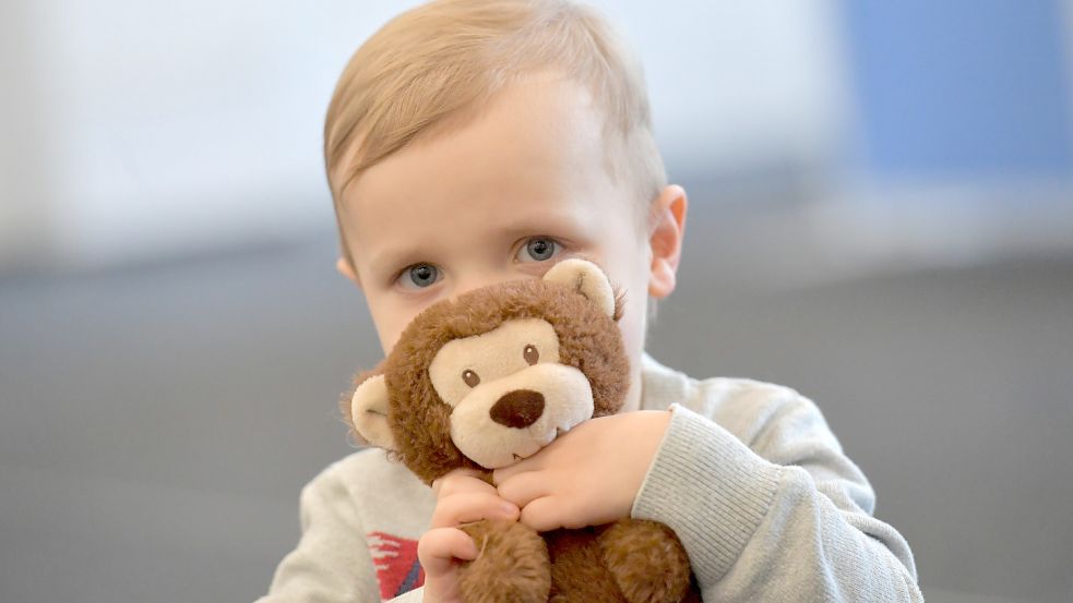 Maximilian Elagin macht alles richtig: Der Dreijährige kuschelt am liebsten mit seinem Plüsch-Affen Coco. Foto: Ortgies