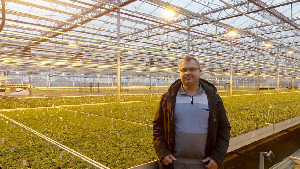 Ortsvorsteher Andreas Silze baut in seiner Gärtnerei Kräuter an. Hier steht er im Gewächshaus seines Großcousins Frank. Foto: Gettkowski