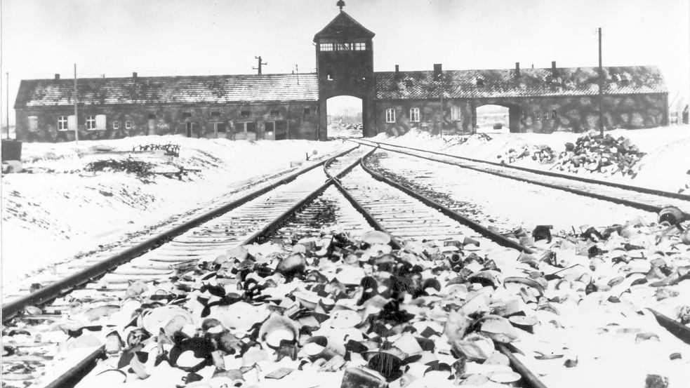 Holocaust - Auschwitz-Birkenau Foto: Uncredited