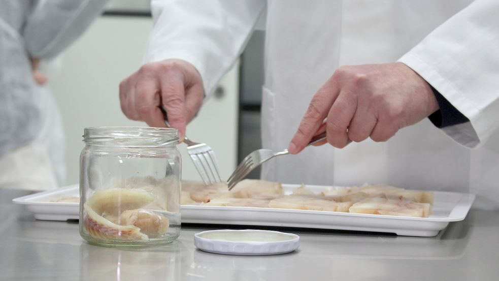 In Wilhelmshaven waren 67 Prozent der 2020 vom Veterinäramt kontrollierten Waren Fisch. Hier wird eine Probe aus einer Frachtladung untersucht. Archivfoto: Oltmanns