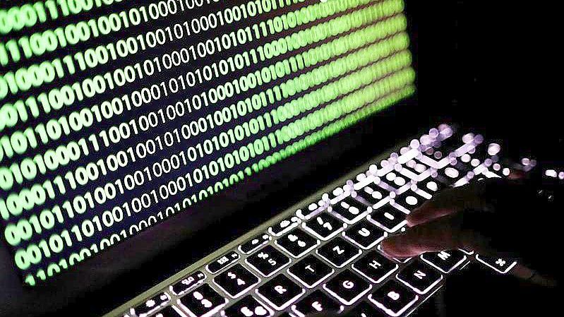 Auf dem Bildschirm eines Laptops ist ein Binärcode zu sehen. Foto: Oliver Berg/dpa