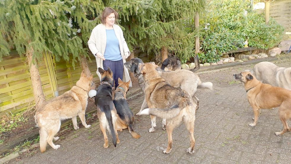 Zehn Hunde hält Peggy Hellenthal, vornehmlich kranke und alte. Sie möchte nicht nur eine Tierauffangstation aufbauen, sondern auch mitwirken, eine Hundefreilauffläche zu gestalten. Foto: Privat