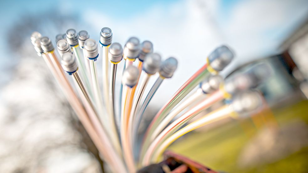 Ein aufgefächertes Breitbandkabel. Foto: Cordsen