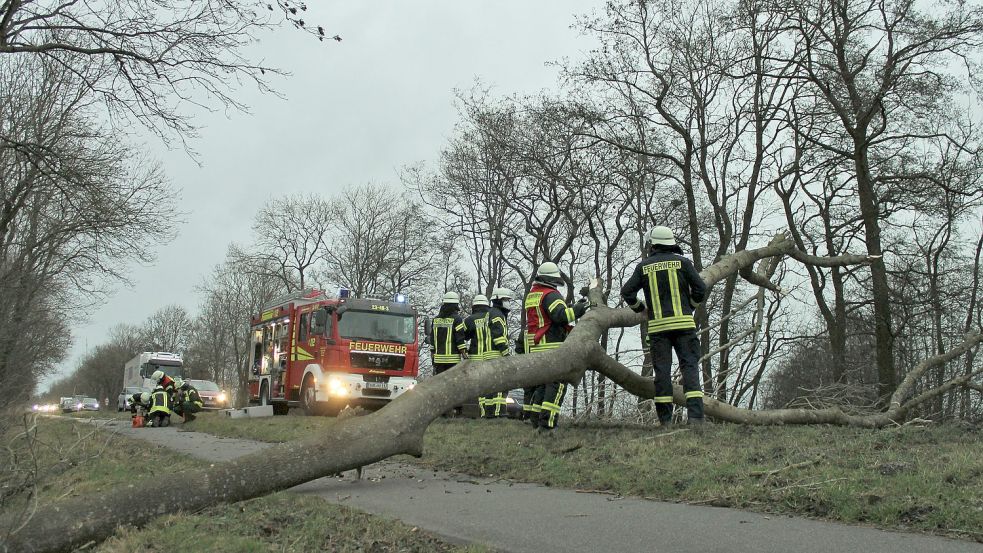 Die Feuerwehr Uthwerdum war auf der Emder Straße im Einsatz. Foto: Feuerwehr/Goldenstein