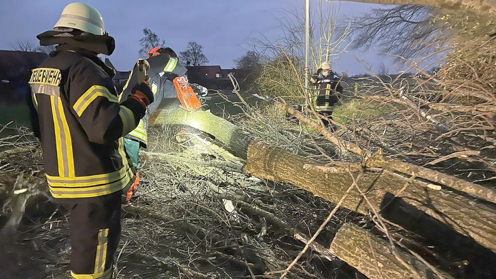 Sturmtief Nadja beschäftigt die Einsatzkräfte seit Sonnabend. Foto: Feuerwehr