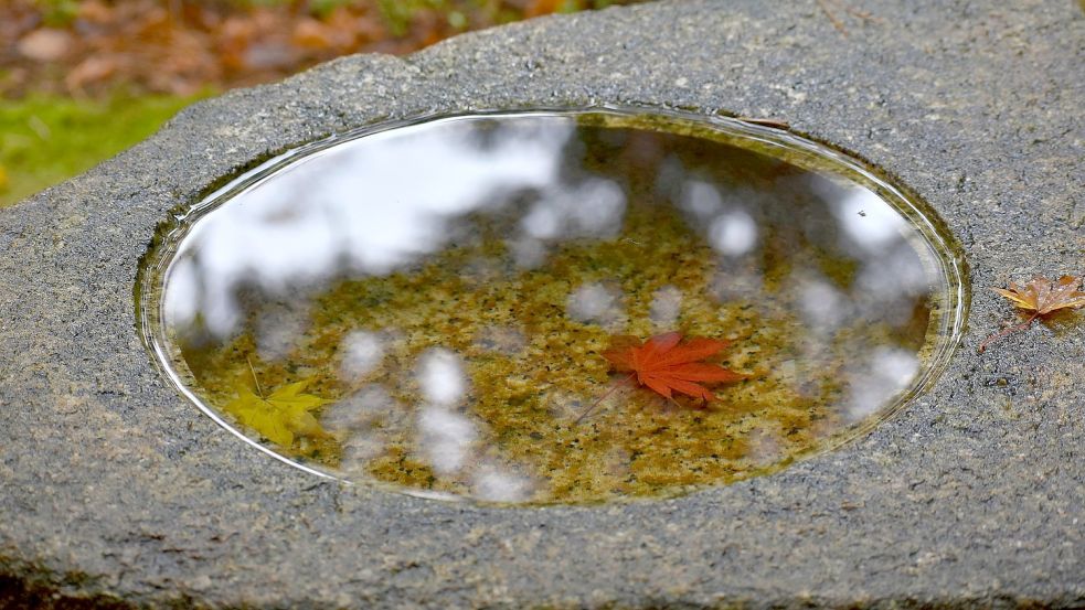 Schon eine kleine Schale mit Wasser bringt beruhigende Reflexionen in den Garten. Foto: pixabay.com