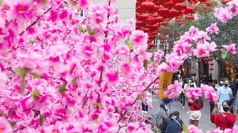 Eine üppig dekorierte Straße zur Feier des chinesischen Neujahrsfestes in Hongkong. Foto: Vincent Yu/AP/dpa
