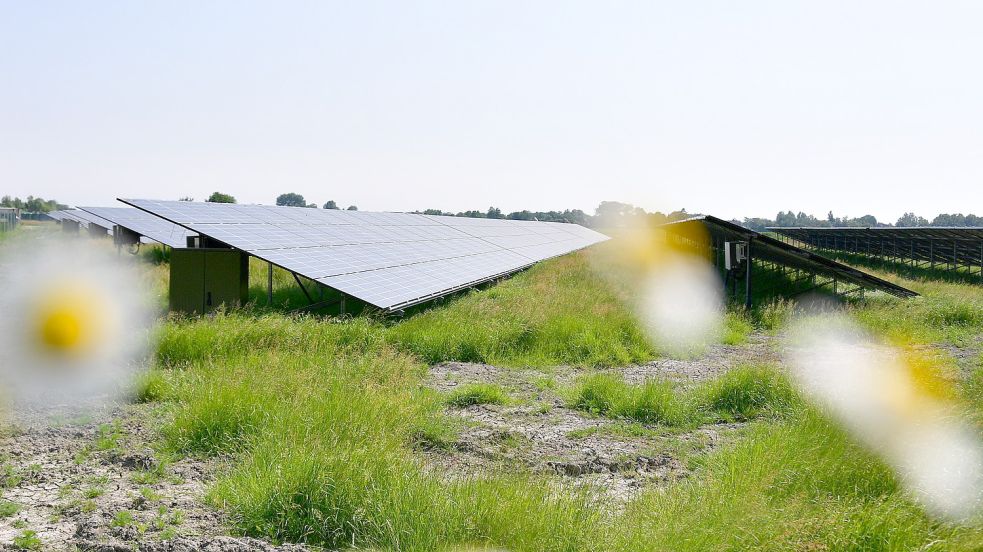 Photovoltaik-Freiflächenanlagen sollen helfen, die Energiewende zu meistern. In Ihlow plant die Gemeinde ein erstes Projekt. Symbolfoto: Archiv