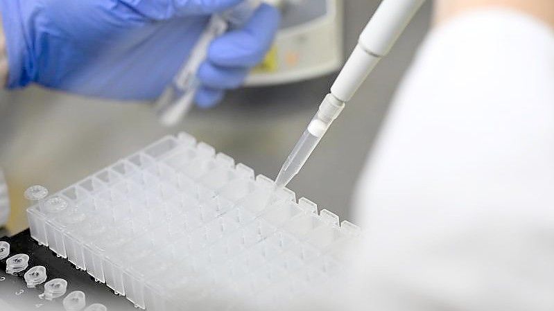 Eine Mitarbeiterin eines Testlabors bereitet PCR-Tests vor. Foto: Bernd Weißbrod/dpa