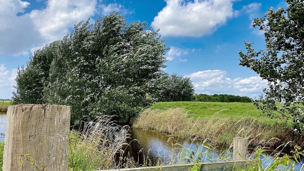 Klimaschutz Rheiderländer Gemeinden tun sich zusammen OstfriesenZeitung