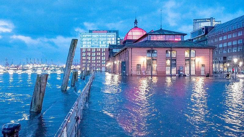 Der Fischmarkt mit der Fischauktionshalle in Hamburg am Samstagmorgen. Foto: Daniel Bockwoldt/dpa