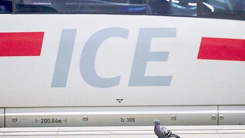 Mitfahren verboten! Eine Taube auf dem Hauptbahnhof Berlin. Foto: Annette Riedl/dpa