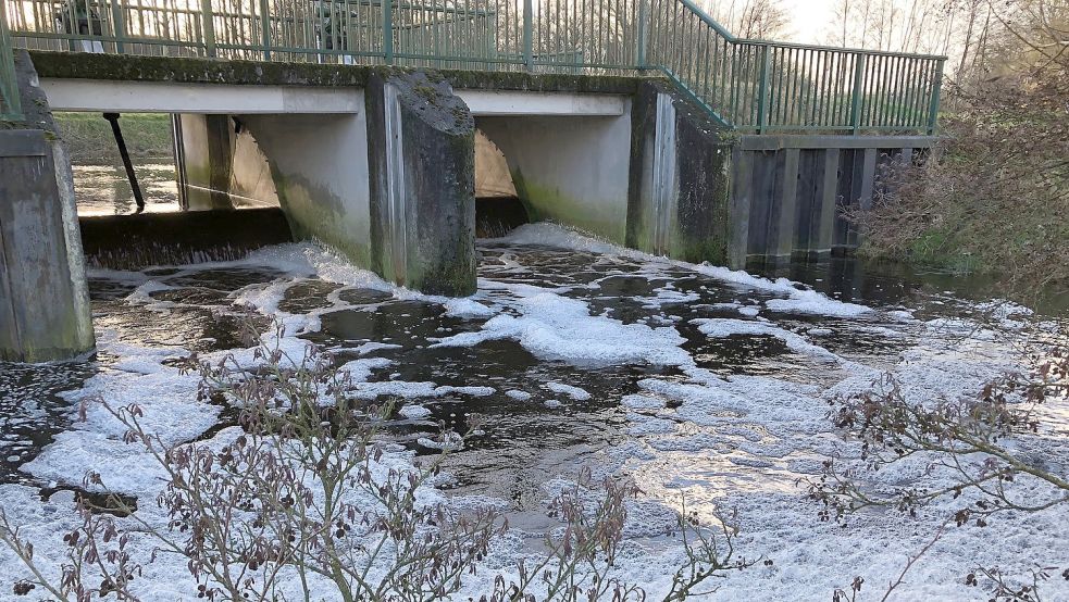 Nachdem das Einlassbauwerk bei Langholt geöffnet worden ist, schoss das Wasser schäumend aus dem Burlager-Langholter Tief ins Langholter Meer. Foto: Radtke