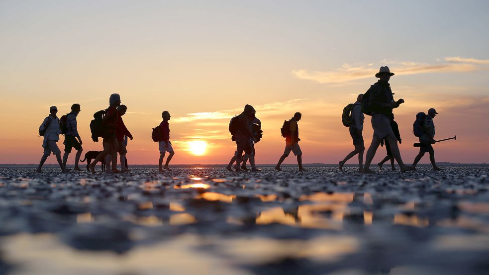 Mit einem Wattführer kommen Menschen auch ohne Ortskenntnis sicher durchs Wattenmeer – aus gutem Grund. Foto: Charisius/dpa