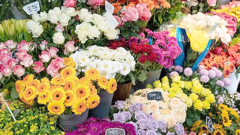 Schnittblumen in einem Blumenladen. Der Blumenstrauß zum Valentinstag wird in diesem Jahr deutlich teurer. Foto: Ole Spata/dpa
