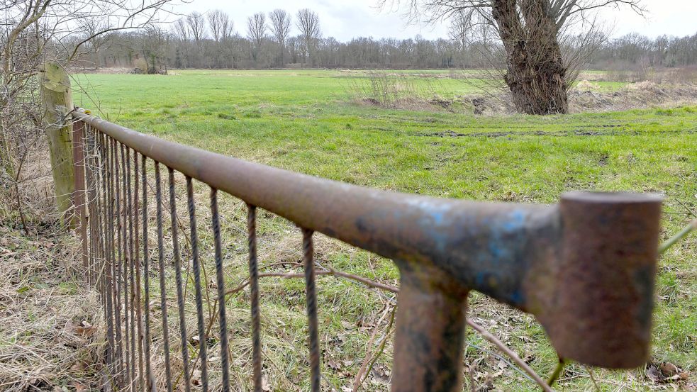 Dieses Areal zwischen Leerer Landstraße und dem Ems-Jade-Kanal soll bebaut werden. Foto: Ortgies